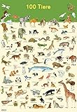 Mein Lernposter: 100 Tiere